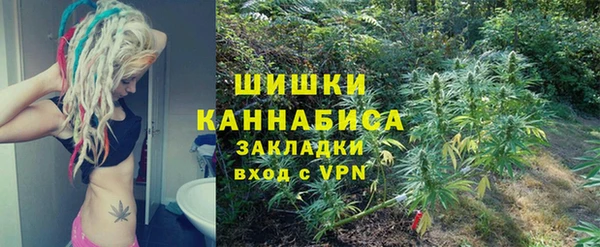 ECSTASY Ладушкин