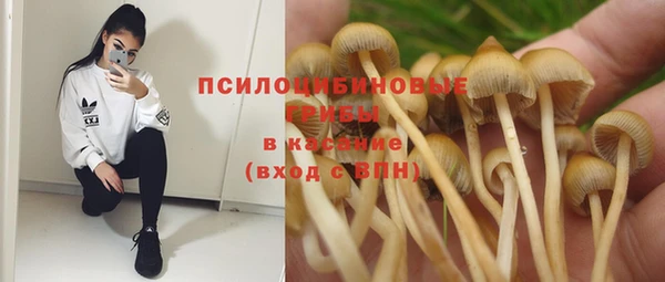 спиды Кукмор