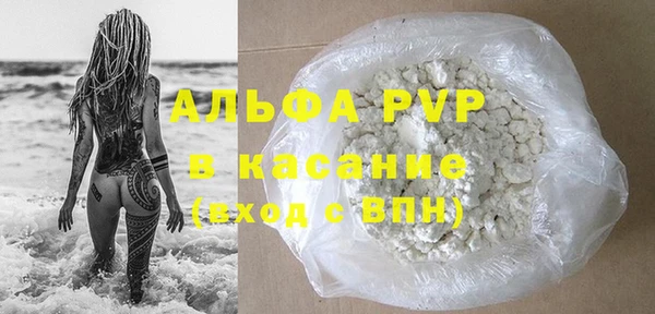 ECSTASY Ладушкин