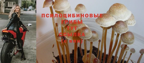 трава Вязьма