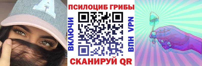 Псилоцибиновые грибы Cubensis  Новохопёрск 